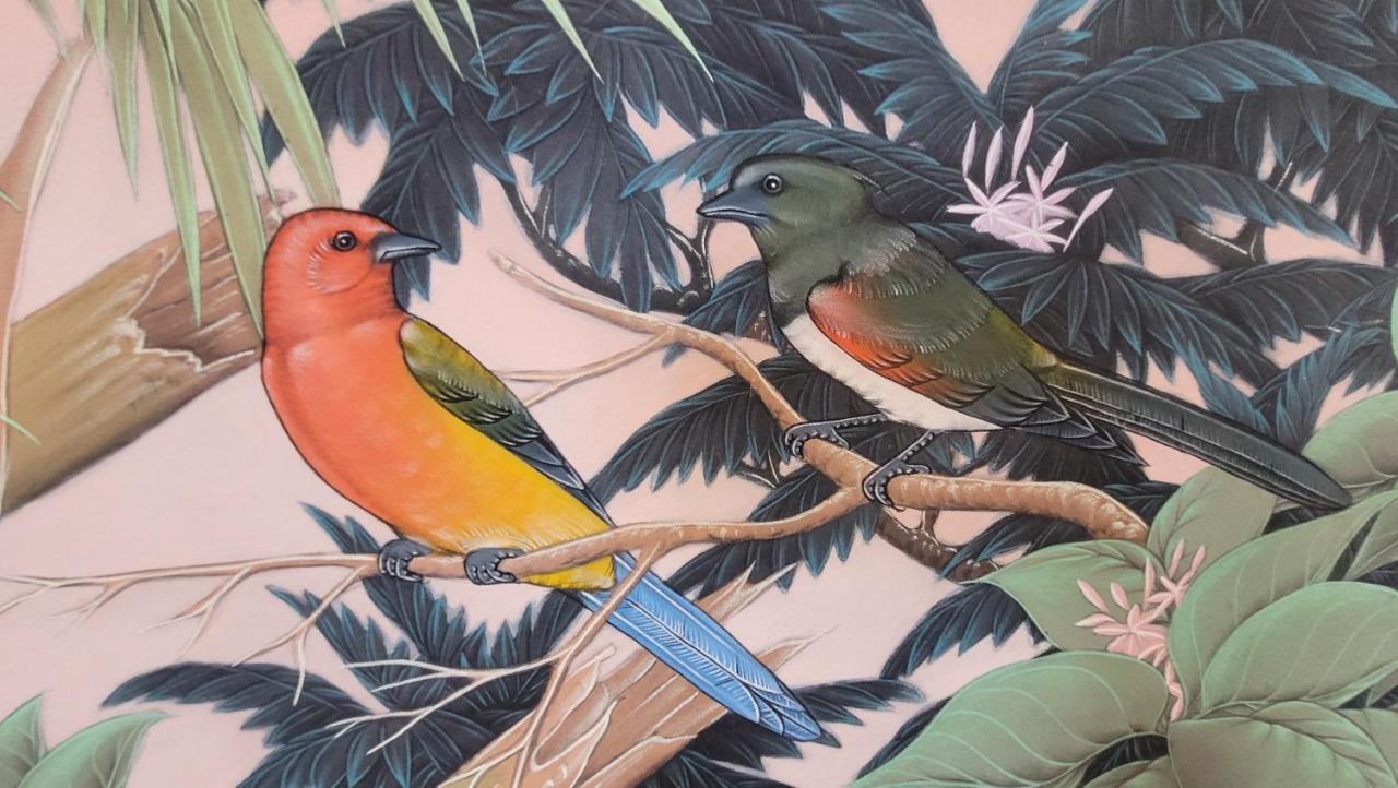 Fauna Montevideo Eksteriør billede